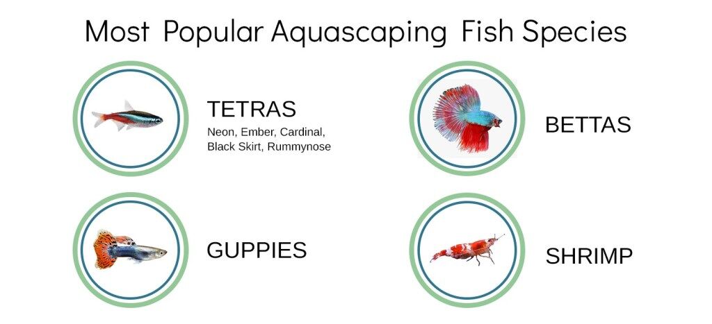 Aquarium Friend survey, fish species